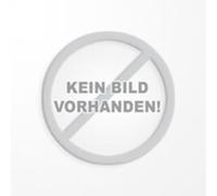 DNP MediaSet 10x15 DM4640 per DS-40