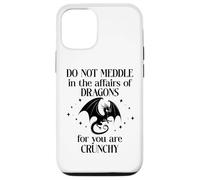 Do Not Meddle in the Affairs of Dragons Book Dragon Fantasy Custodia per iPhone 12/12 Pro