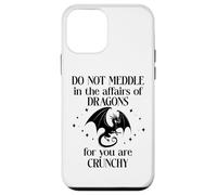 Do Not Meddle in the Affairs of Dragons Book Dragon Fantasy Custodia per iPhone 12 mini