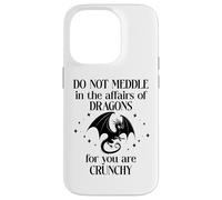 Do Not Meddle in the Affairs of Dragons Book Dragon Fantasy Custodia per iPhone 14 Pro