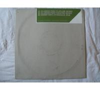 Do What We Would - Aczess 2X12"