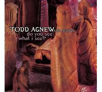 Do You See What I See? by Todd Agnew