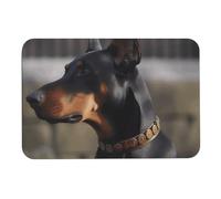 Doberman Diatom, tappetini da bagno in fango, assorbono umidità e sporco, con retro in gomma antiscivolo, adatto sotto la porta, per pavimento del bagno, vasca, doccia, lavandino