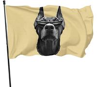 Doberman resistente alle intemperie con occhiali da sole Bandiera da giardino, Bandiera per feste in famiglia 3 X 5 piedi Decorazioni per la casa all'aperto