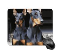 Doberman - Tappetino per mouse quadrato per computer, portatile, con base in gomma antiscivolo, 20 x 25 cm, ultra sottile, per computer portatile, accessori da scrivania da ufficio