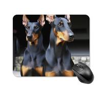 Doberman - Tappetino per mouse quadrato per computer, portatile, con base in gomma antiscivolo, 20 x 25 cm, ultra sottile, per computer portatile, accessori da scrivania da ufficio