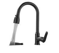 Doccetta estraibile for rubinetto da cucina, rotazione di 360 gradi e rubinetto da cucina monoforo estraibile nero e argento for acqua fredda
