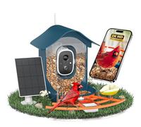 DOCOON Mangiatoia intelligente per uccelli con fotocamera, 2K HD AI identifica le specie di uccelli, telecamera per birdwatching con pannello solare, regalo per mamma papà amanti degli uccelli