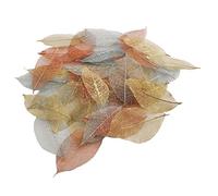 Docrafts - Foglie Secche (Pacco da 40)