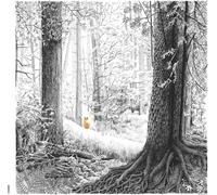 DoctoR DooM A Shadow Called Danger (CD) Album