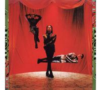 DOCUMENT (完全生産限定盤) (アナログ盤) (特典なし) [Analog]