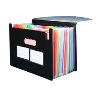 Documentalisti, classificatori, Cartella a fisarmonica A4 con 13/25 tasche, scatola di archiviazione espandibile, organizer mensile for ricevute e fatture(13 Pockets)
