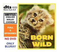 Documentario BLU RAY Born To Be Wild (2025)