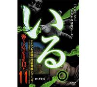 Documentary - Iru. Kowasugiru Toko Eizo 13 Bon Vol.11 [Japan DVD] TOK-D0066