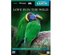 Documentary - Love Is in the Wild