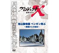 (Documentary) - Project X Challengers Asahiyama Doubutsuen Penguin Tobu-Heien Kara No Fu [Edizione: Giappone]