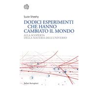 Dodici esperimenti che hanno cambiato il mondo. Alla scoperta della materia dell'universo