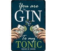 DODINO 20x30cm Targa Vintage Gin & Tonic, Idea regalo per amanti dei cocktail, in metallo, Design retro per decorazione