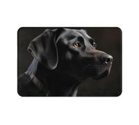 DOFFO Zerbino per interni con stampa labrador nero, antiscivolo, 40,6 x 61 cm, tappetino da bagno, in flanella, tappeto di benvenuto, tappetino per porta d'ingresso, tappetini per interni per ingresso