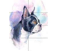 Dog Boston Terrier Watercolour XL Giant Panel Poster (8 Sections) Acquerello Manifesto