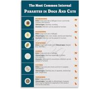 Dog Cat Parasites Poster Flea Tick Worm Guide