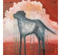 Dog - Charlie Parr (Audio cd)