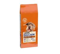 DOG CHOW Mature Adult Lamb 14kg - cibo secco