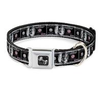 Dog Collar Bone 100 Dollar Bill X-Ray Black/White WIDE-Small 13-17"