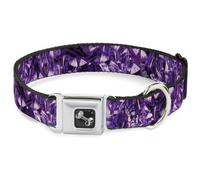 Buckle Down Collare per Cani con Fibbia per Cintura di Sicurezza, Cristalli Viola, Larghezza 2,5 cm, Adatto per Collo da 28 a 43,2 cm, Taglia M