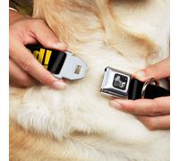 Dog Collar Bone NO THANKS, I'M GOOD Black/Gold Medium 11-16.5"