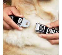 Dog Collar Bone ONLY GOD CAN JUDGE ME Bold Black/White WIDE-Small 13-17"