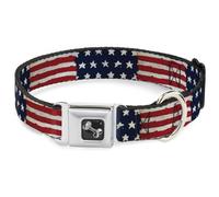 Dog Collar Bone Stars & Stripes Painting Small 9.5-13"