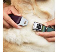 Dog Collar Bone Summer Essentials Color Block 5 Large 15-24"