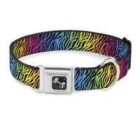 Dog Collar Bone Zebra Rainbow Ombre Large 15-24"