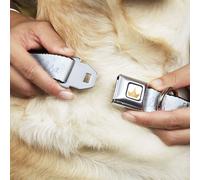 Dog Collar DYAZA-Disney Princess Crown Full Color Golds Frozen Elsa Snowflake Po