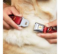 Dog Collar FLCO-FLASH 2023 Title Logo Full Color White/Yellow/Red The Flash 2023