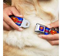 Dog Collar SMC-Superman Blue SUPERMAN/Shield Stripe Blue/Yellow/Red Small 9.5-13