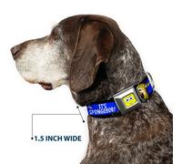 Dog Collar SQB-SpongeBob Face CLOSE-UP SpongeBob Pose IT'S SPONGEBOB Stripe Bla