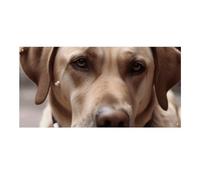 Dog Eats Ice Cream Cone Large Party Banner Sign Wall Hanging Sfondo Banner Festa di Compleanno Fondali per Capodanno Laurea Matrimonio Compleanno Decorazione 120x60 cm