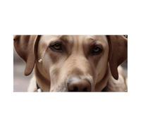 Dog Eats Ice Cream Cone Large Party Banner Sign Wall Hanging Sfondo Banner Festa di Compleanno Fondali per Capodanno Laurea Matrimonio Compleanno Decorazione 180x90 cm