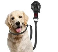 Dog Grooming Loop - Dog Bathing Tether | Suction Cup Grooming Restraint | Heavy-Duty 6.8cm Suction Cup, Nylon Rope, Stainless Steel, For Small To Medium Dogs, Showering Blow-Drying Trimming Groõming