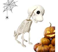 Dog hallowen Scheletro - Scheletro di cane realistico cane scheletrico e decorazioni hallowen per il cimitero per la scena del cimitero | Materiale riutilizzabile Modello cucciolo in ave