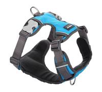 Dog Harness Red Dingo Padded Turquoise Size M