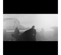 Dog in the Snow Vanishing Lands (CD)