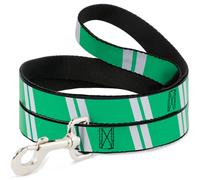 Dog Leash 6-FEET Hash Mark Stripe Double Green/Silver