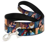 Dog Leash Disney Princess Scenes Framed WIDE 1.5"