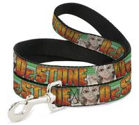 Dog Leash DR. STONE Title Logo and Suika Face Close-Up Greens WIDE 1.5"