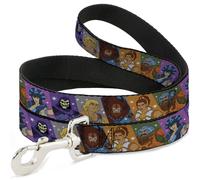 Dog Leash Masters of the Universe Character Block Stripe Poses Multi Color WIDE