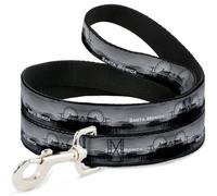 Dog Leash Vivid SANTA MONICA Pier Skyline Grays/White WIDE 1.5"