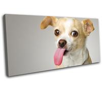 Dog Puppy Chihuahua Funny Pets Animals SINGLE TELA parete arte foto stampa
